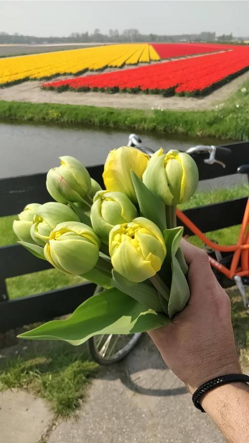 Amberdi Apartment Amsterdam Schiphol Airport Hoofddorp Esterno foto